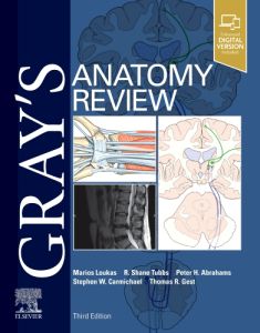 Gray's Anatomy Review