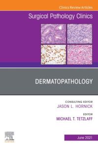 Dermatopathology, An Issue of Surgical Pathology Clinics,E-Book
