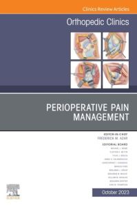 Perioperative Pain Management, An Issue of Orthopedic Clinics, E-Book