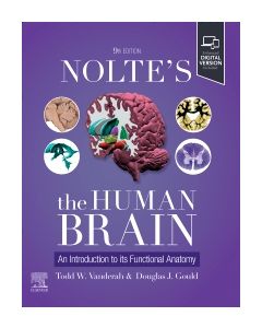 Nolte's The Human Brain
